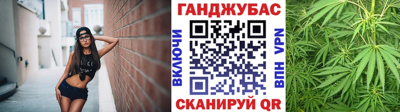Купить  Новозыбков  Конопля гибрид 